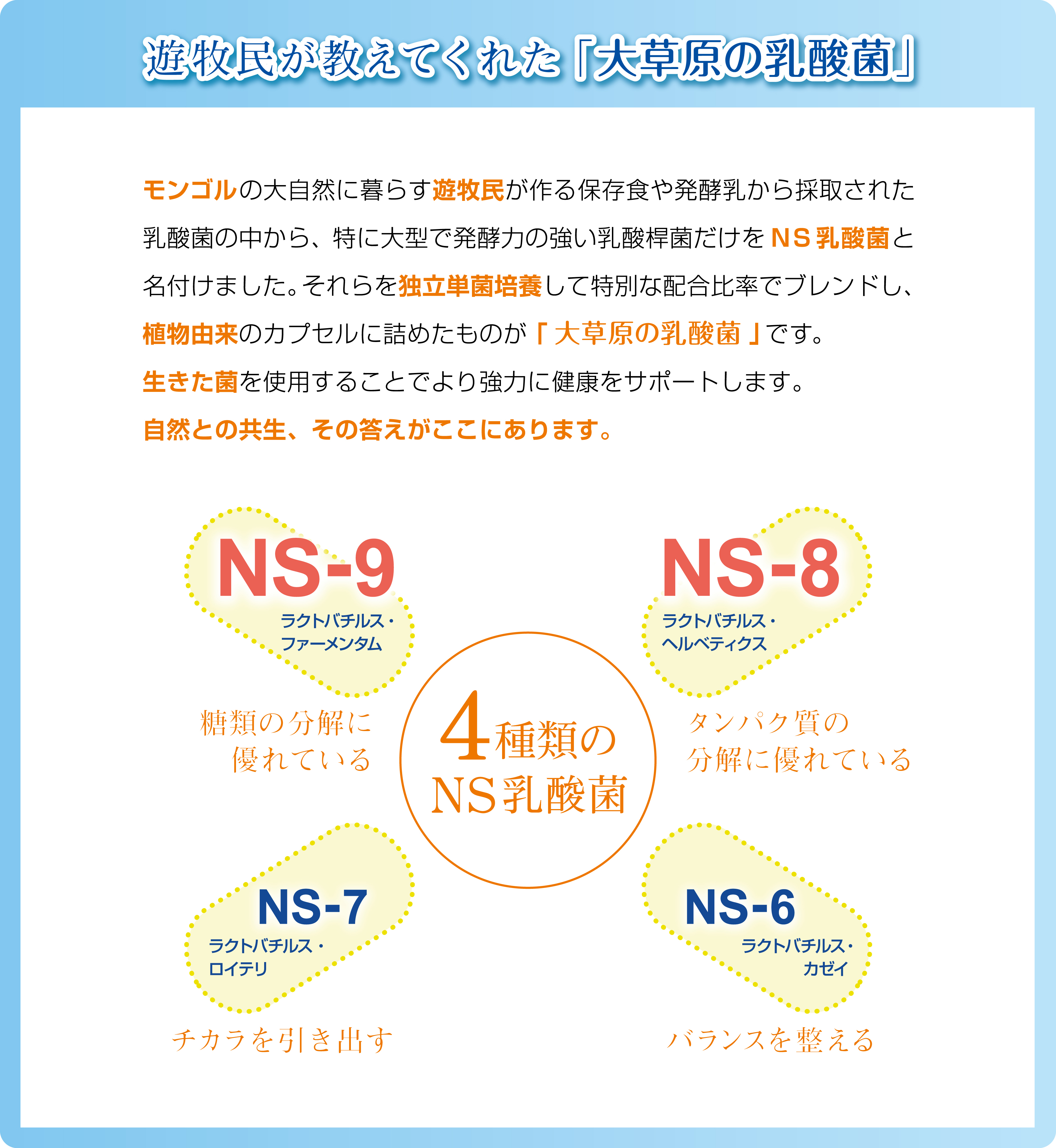 年齢を重ねるにつれて減っていく善玉菌、増えていく悪玉菌。続けることで「変えたい」あなたにお届けします。
健康は菌に左右されます。まずは体内のバランスを整え、病気になりにくいカラダをつくることが大切です。今日の社会では、殺菌・抗菌が宣伝されていますが菌やウイルスを殺すのではなく本来は人間と共生させることが望ましいのです。【開発者の金鋒博士】